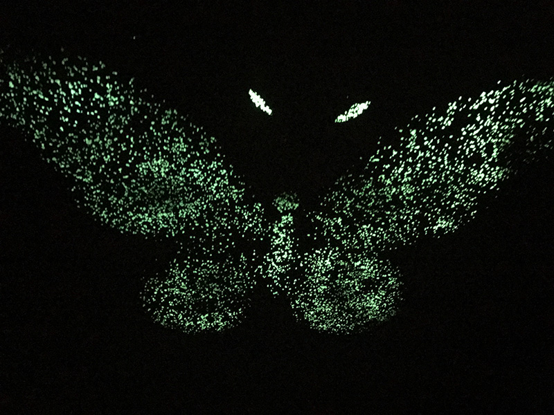 IMG_1271.JPG IMG_1271.JPG