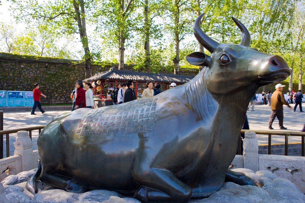 铜牛 颐和园_副本.jpg