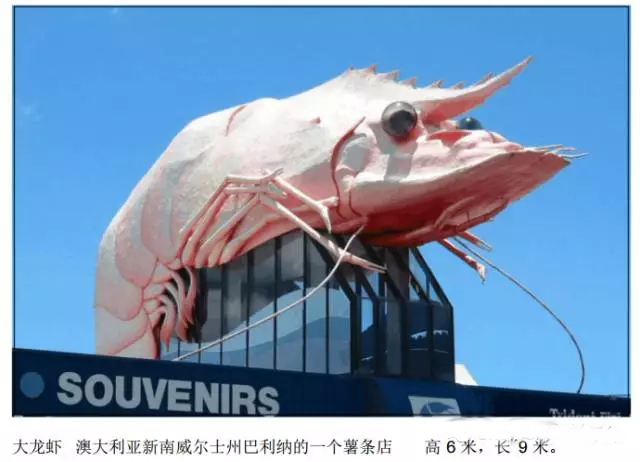 640.webp (22).jpg 640.webp (22).jpg