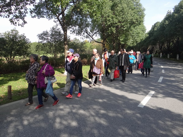 201611141602024487.JPG 视障读者游园活动.JPG