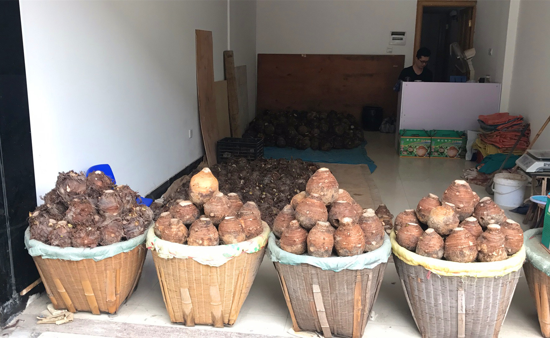 芋头.jpg 芋头.jpg