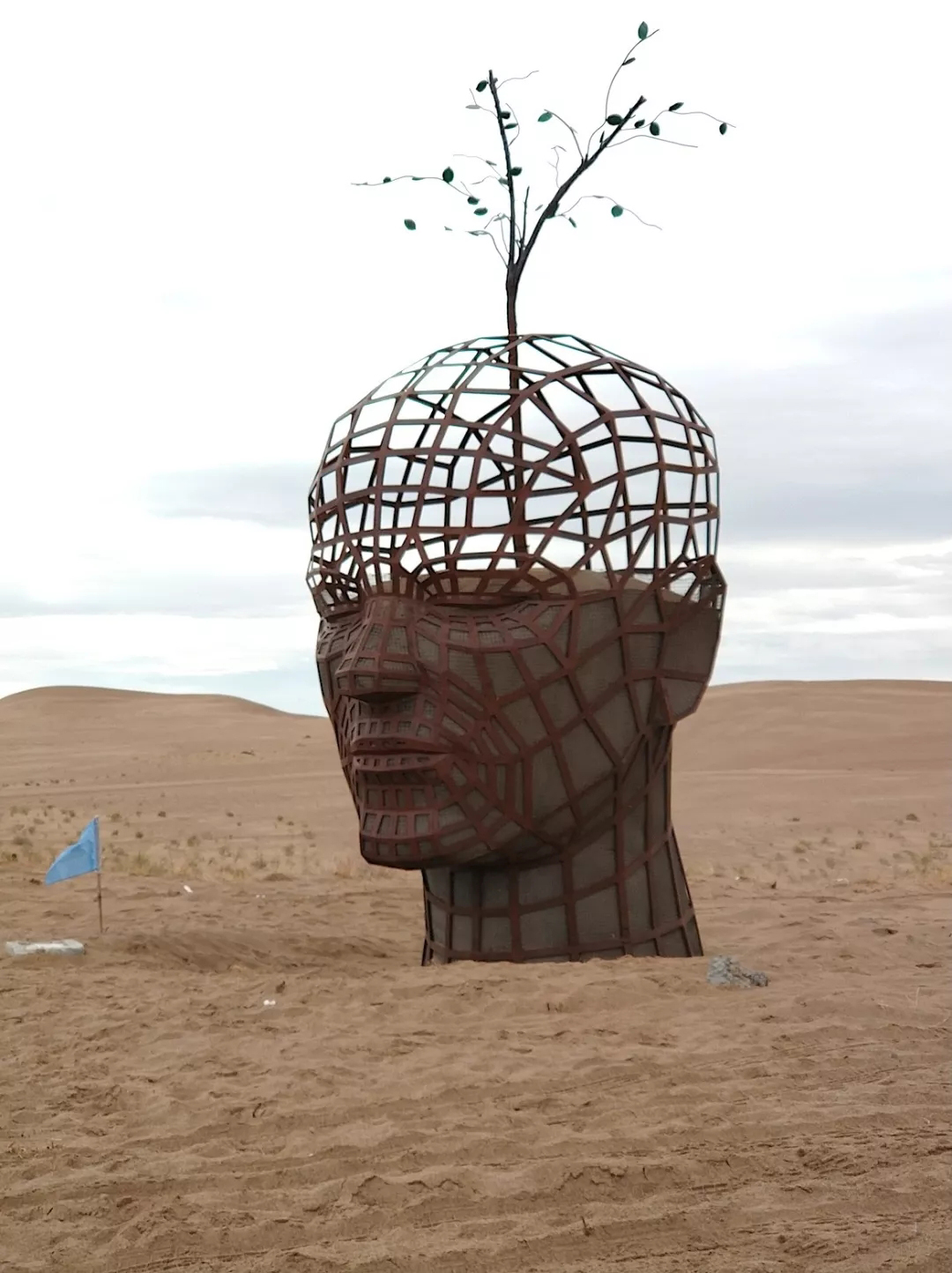 640.webp (7).jpg 640.webp (7).jpg