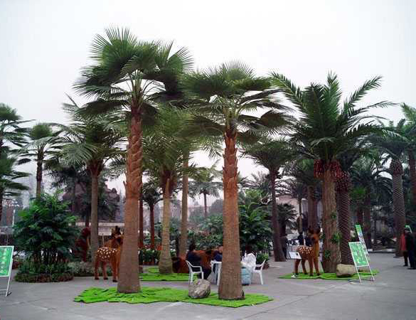 永平仿真棕榈树