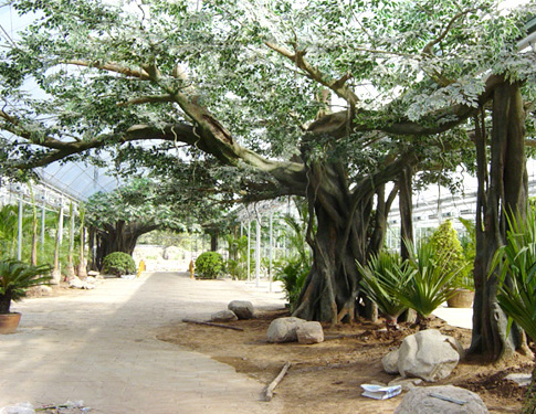 永平大型仿真树