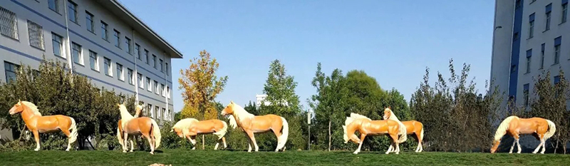 永平赤峰蒙中校园景观雕塑“发扬蒙古马精神” ​